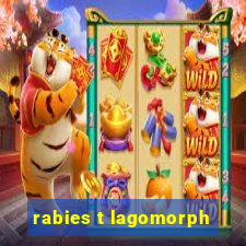 rabies t lagomorph